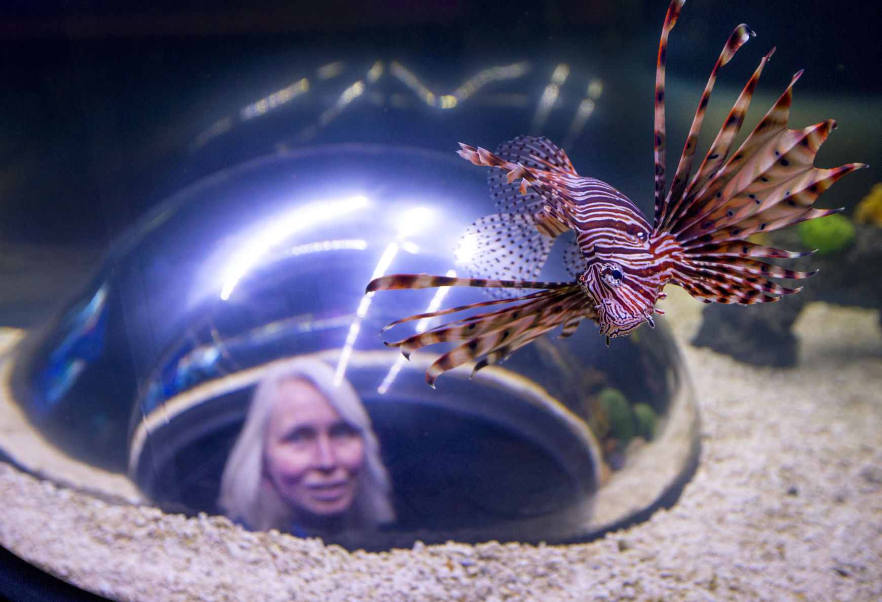 Science Center aquarium preview